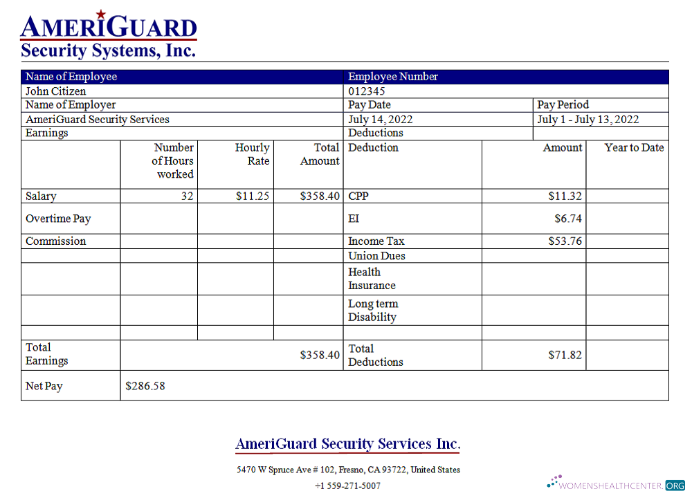 Download USA AmeriGuard Security Services Inc security company Photoshop template